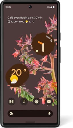 Smartphones Google pixel 6 Noire 256GO — vignette 2