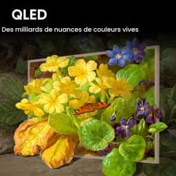 TV Hisense intelligente 65" S7N CanvasTV (modèle 65S7N) — vignette 3